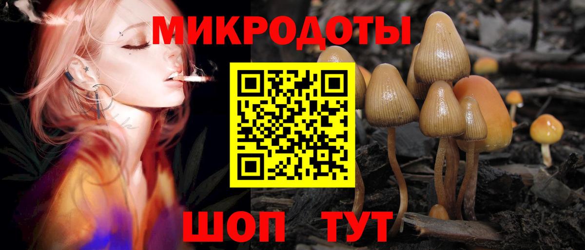 Новокубанск  Галлюциногенные грибы GOLDEN TEACHER  Вход с VPN  купить наркотик  Псилоцибиновые грибы мицелий 