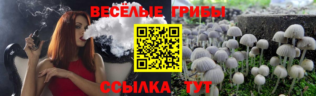 Галлюциногенные грибы GOLDEN TEACHER Новокубанск